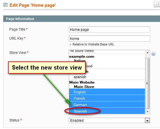 Store-view-homepage