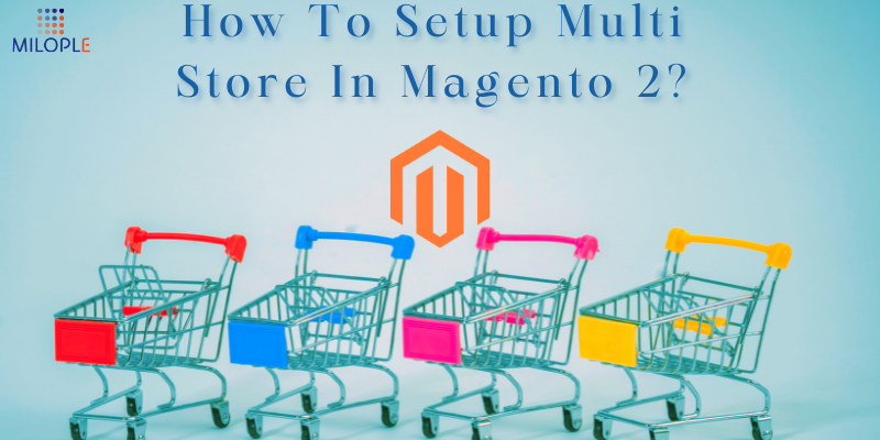 How to Setup Multi Store in Magento 2?